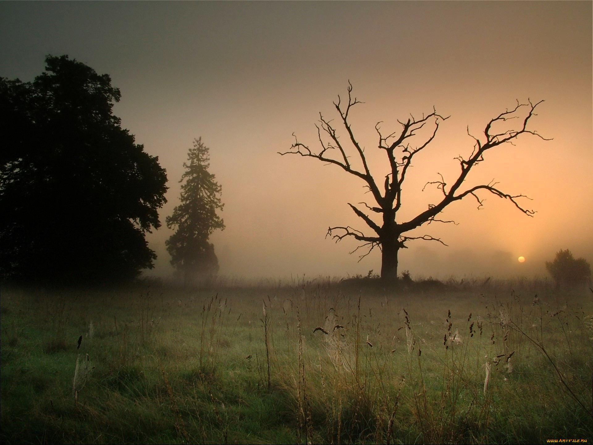 �������, ����, �������, �����, �����, �����, ���